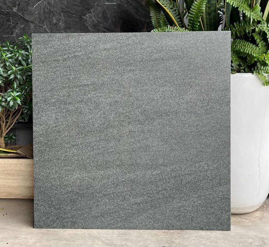 Gạch 60×60 đá mờ matt mịn SGT_66002