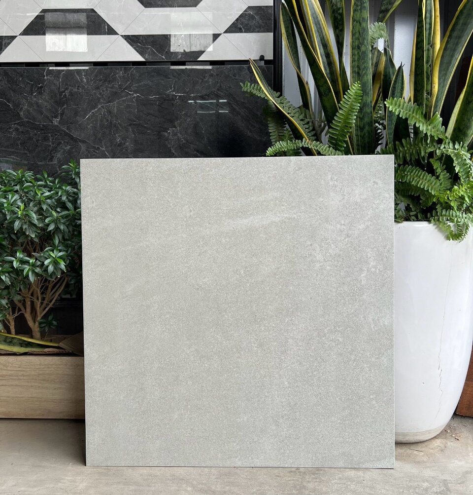 Gạch 60×60 đá mờ matt mịn SGT_66004