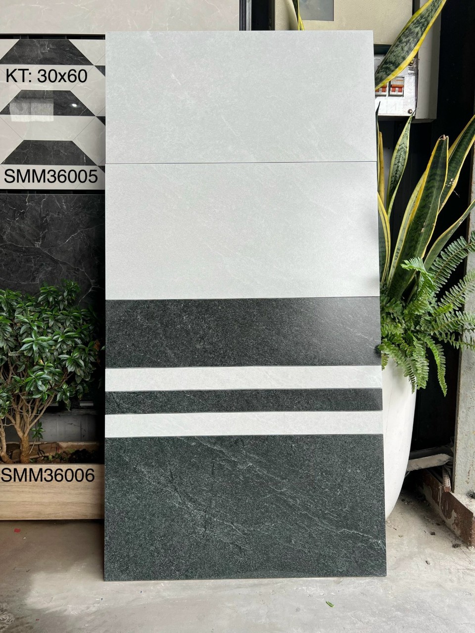 Gạch 30×60 đá mờ matt mịn SGT_36005/36006