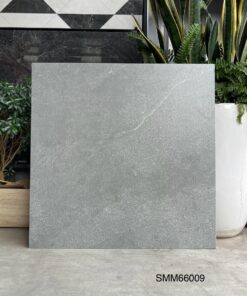 Gạch 60×60 đá mờ matt mịn SGT__66009