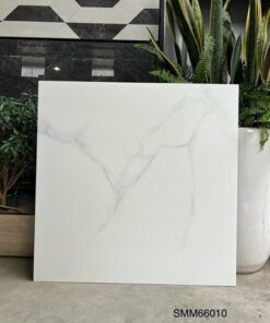 Gạch 60×60 đá mờ matt mịn SGT__66010