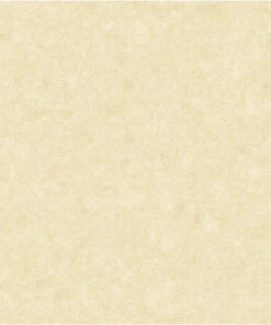 Gạch Viglacera 60x60cm mờ VG-6002