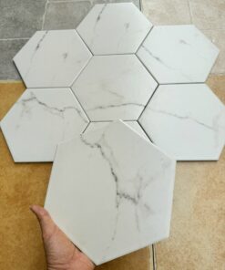 Gạch bông lục giác 20x23cm SGT_23001