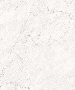Gạch 60x120cm mờ nhập khẩu Ấn Độ_SGT_Giola silver