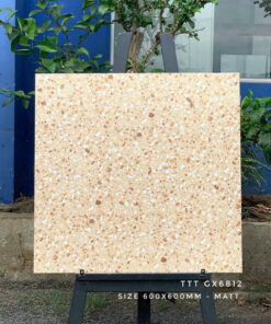 Gạch terrazzo 60x60cm 6812