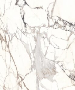 Gạch 60x120cm mờ nhập khẩu Ấn Độ_SGT_Calacata Speark