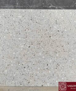 Gạch terrazzo 60x60cm SGT_S6031