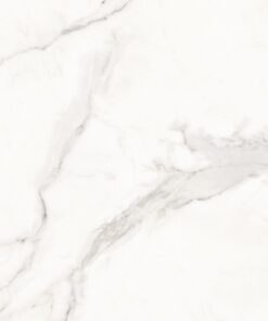 Gạch 60x120cm mờ nhập khẩu Ấn Độ_SGT_1127