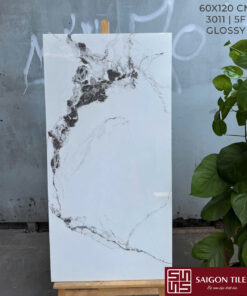 Gạch 60x120cm bóng nhập khẩu Ấn Độ_SGT_3011