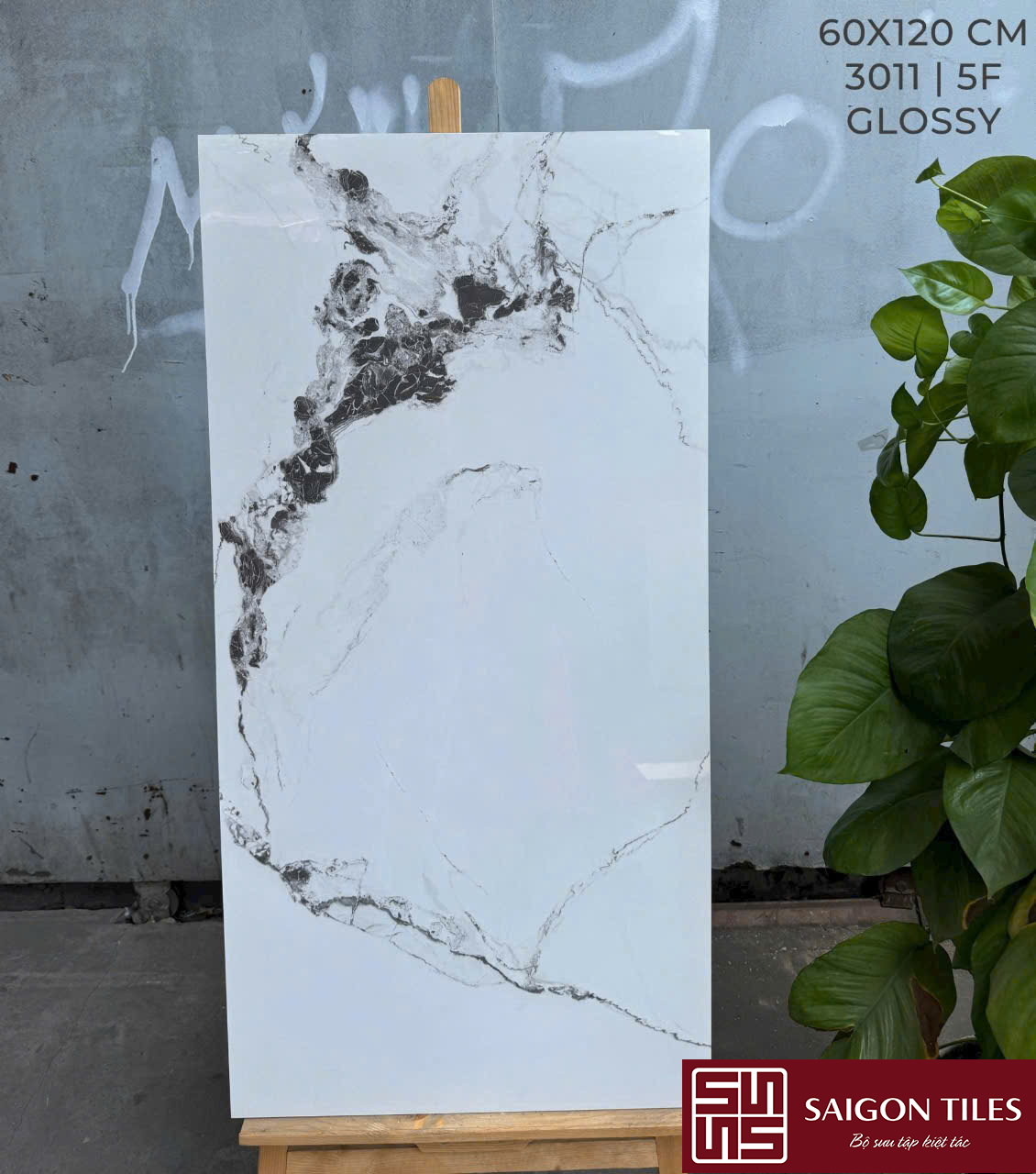 Gạch 60x120cm bóng nhập khẩu Ấn Độ_SGT_3011