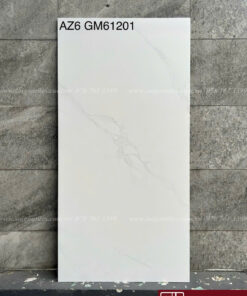 Gạch 60x120cm mờ Viglacera 6KH-GM61201