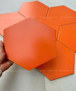 Gạch bông lục giác 20x23CM SGT_23023