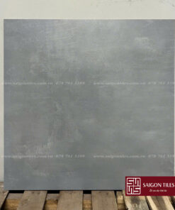 Gạch 60x60cm mờ Viglacera SGT_GM6602