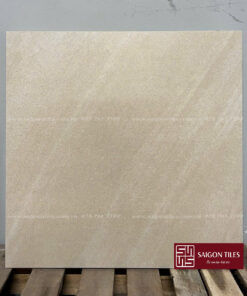 Gạch 60x60cm mờ Viglacera SGT3_GM6604