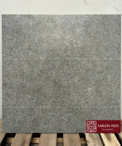 Gạch 60x60cm mờ Viglacera SGT5_GM6601