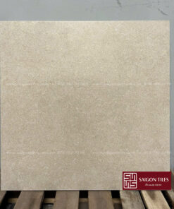 Gạch 60x60cm mờ Viglacera SGT5_GM6603