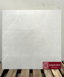 Gạch 60x60cm mờ Viglacera SGT8_GM6601