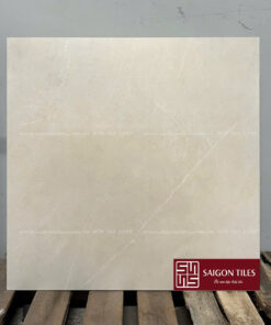 Gạch 60x60cm mờ Viglacera SGT8_GM6604
