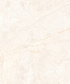 Gạch 80x80cm mờ nhập khẩu Ấn Độ SGT_CORAL-IVORY