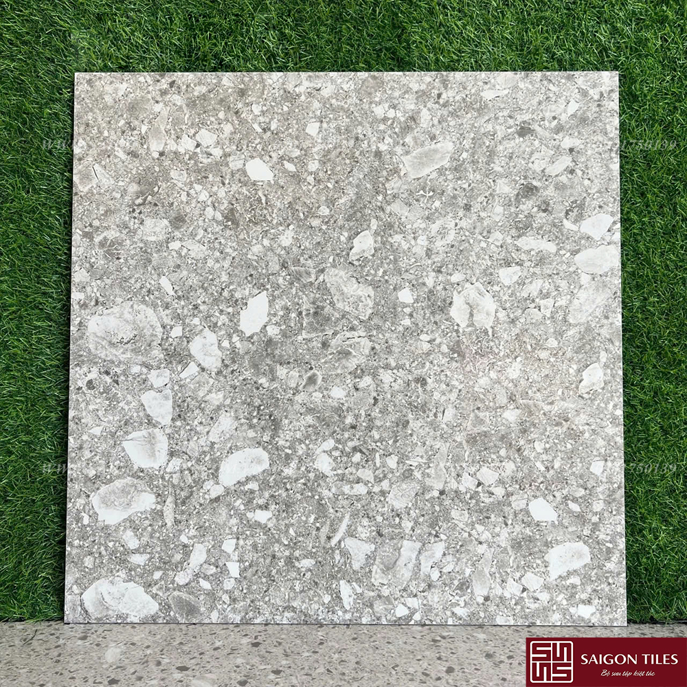 Gạch terazzo 60x60cm SGT_60450B