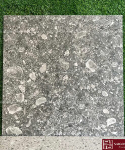 Gạch terazzo 60x60cm SGT_60450C