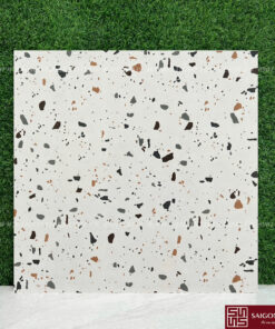 Gạch terazzo 60x60cm SGT_60455
