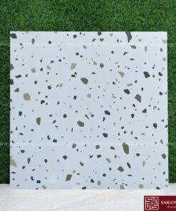 Gạch terrazzo 60x60cm SGT_A6610