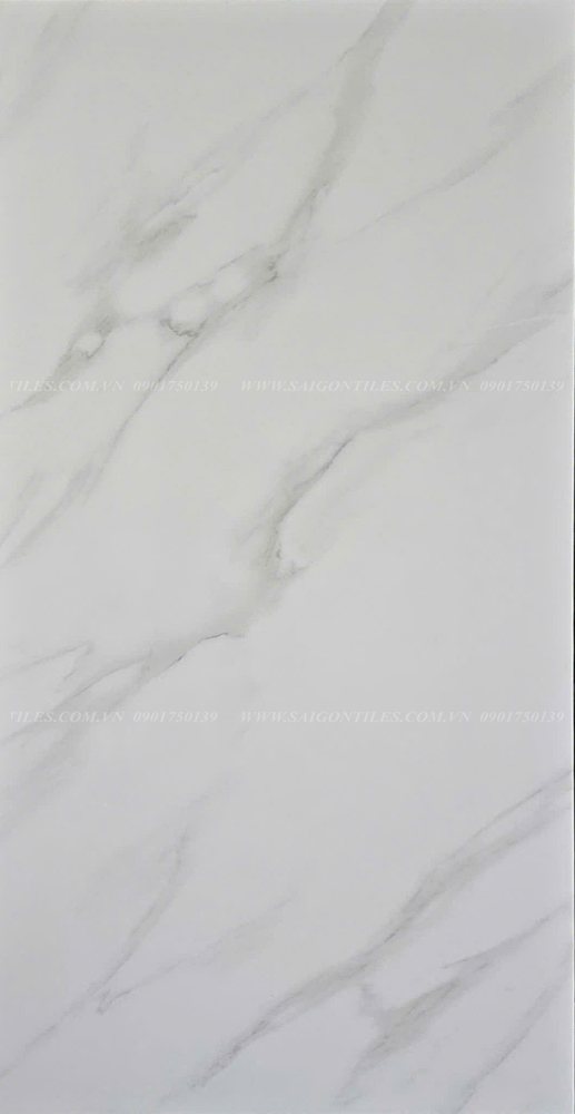 Gạch 60x120cm mờ nhập khẩu Ấn Độ_SGT_12046M