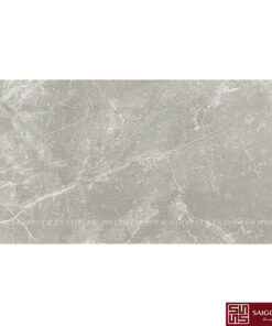 Gạch 30×60 đá mờ matt SGT08B
