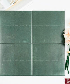 Gạch bông 20x20cm SGT_2229