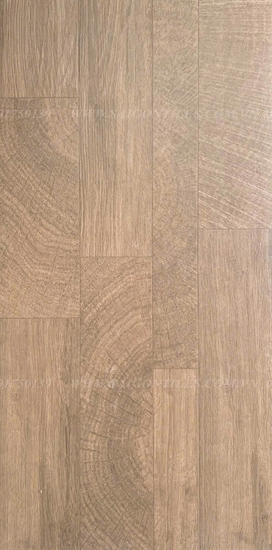 Gạch giả gỗ 60x120cm nhập khẩu SGT_62055