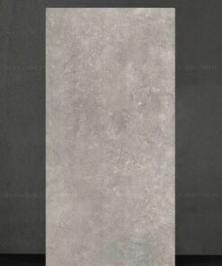 Gạch 60x120cm đá mờ xám  SGT_12606